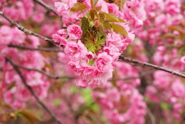 苏州姑苏区1线下个人借款平台一站式服务，轻松解决资金难题