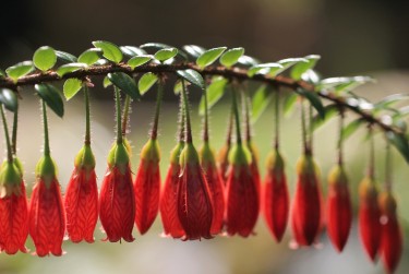 苏州姑苏区1零用贷短借：轻松解决临时资金需求