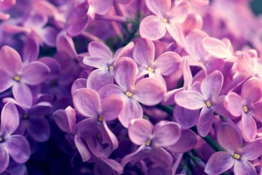 苏州姑苏区1企业急用钱贷款攻略：快速融资解燃眉之急